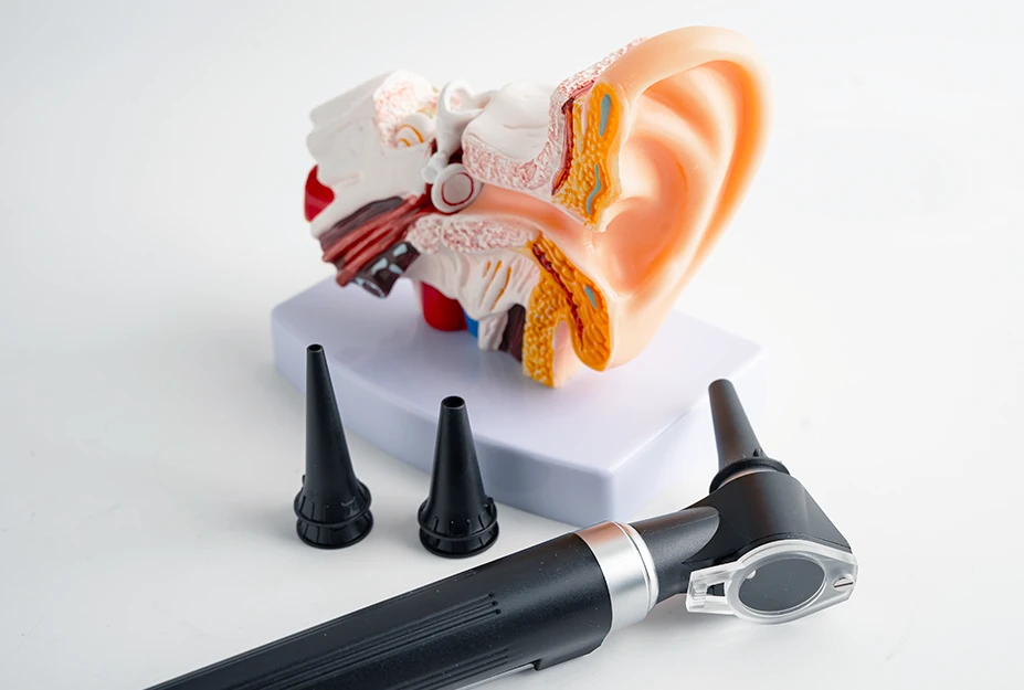 Otorrinolaringología